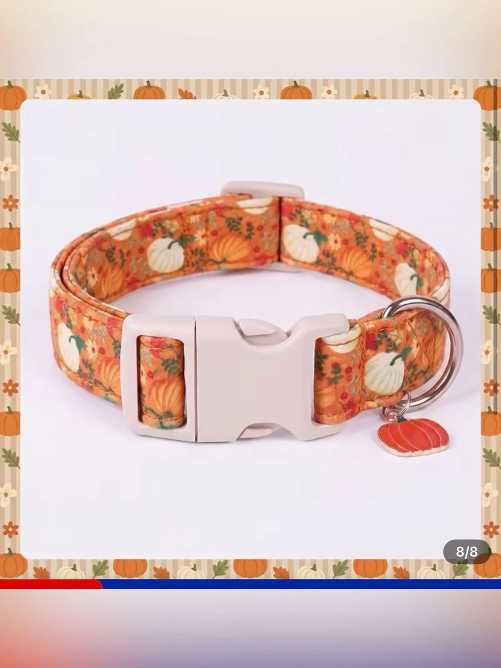 Pumpkin Print Orange Dog Collar with Charm
